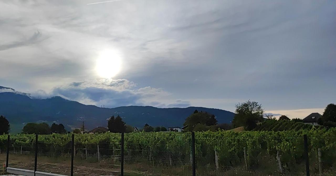 Chambre Au Coeur Des Vignes Myans Buitenkant foto